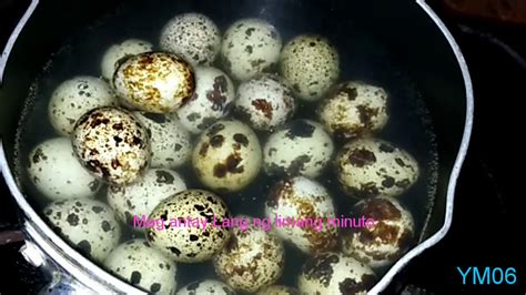 Paraan Pagluto sa itlog ng Pugo .
